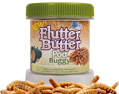 flutter butter buggy