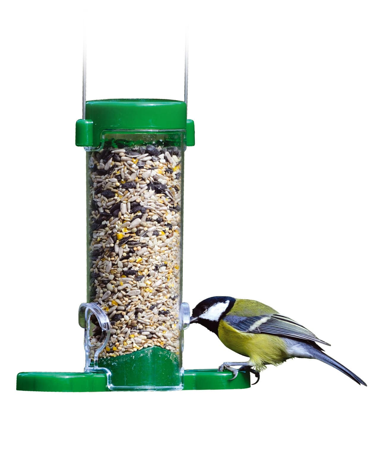 Mangeoires de fenêtre pour oiseaux - Hello-birdy